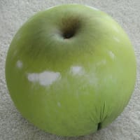 Tatino Eve grüner Apfel von Baleri Italia