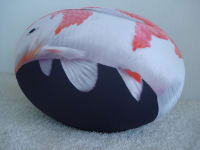 Tato Fish Pesci von Baleri Italia