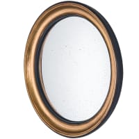 Convex Gold M by deknudt mirrors