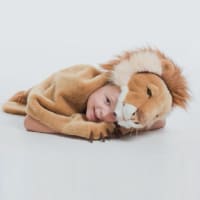 Lion par Wild & Soft